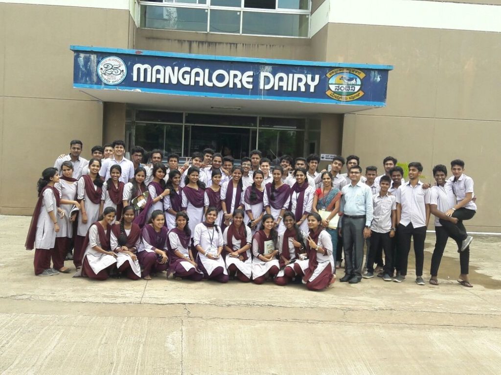 kmf dairy